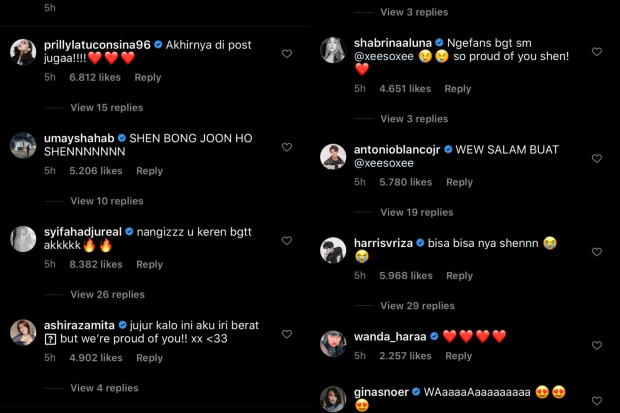 Kolom komentar di Instagram Shenina Cinnamon