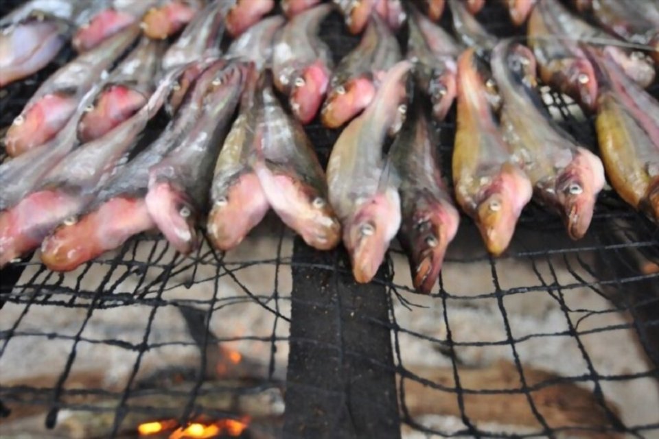 Olahan ikan gabus di Kalimantan