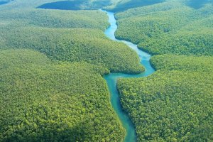 Sungai Amazon sebagai sungai terpanjang di Benua Amerika