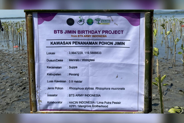 Proyek Penanaman Pohon Jimin