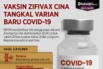 Infografik_Vaksin Zifivax dari Cina tangkal varian baru covid-19