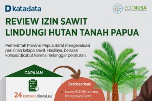 Infografik_Review Izin Sawit Lindungi Hutan Tanah Papua