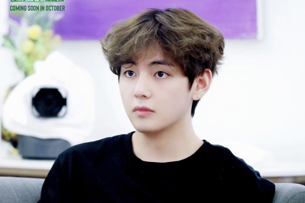 BTS In The Soop Season 2 episode 2