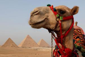 EGYPT-TOURISM