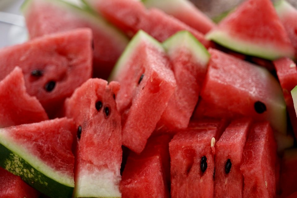 Ilustrasi buah semangka