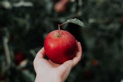 5 Manfaat Buah Apel Untuk Ibu Hamil Dan Kesehatan Anak Lifestyle Katadata Co Id