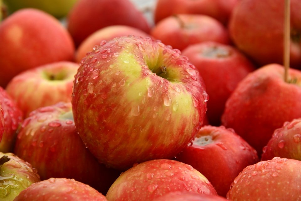 Manfaat buah apel termasuk menjaga kesehatan jantung hingga mencegah diabetes