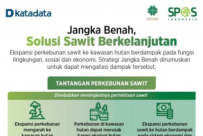 Sawit Berita Kelapa Sawit Terkini Info Sawit Hari Ini Permintaan Melemah Ekspor Minyak Sawit Anjlok 32 5 Di September