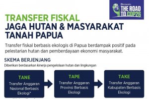 Infografik_Transfer Fiskal Jaga Hutan dan Masyarakat Tanah Papua
