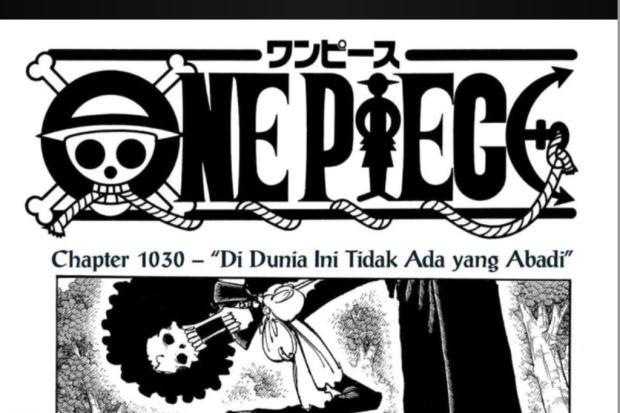 One Piece 1030