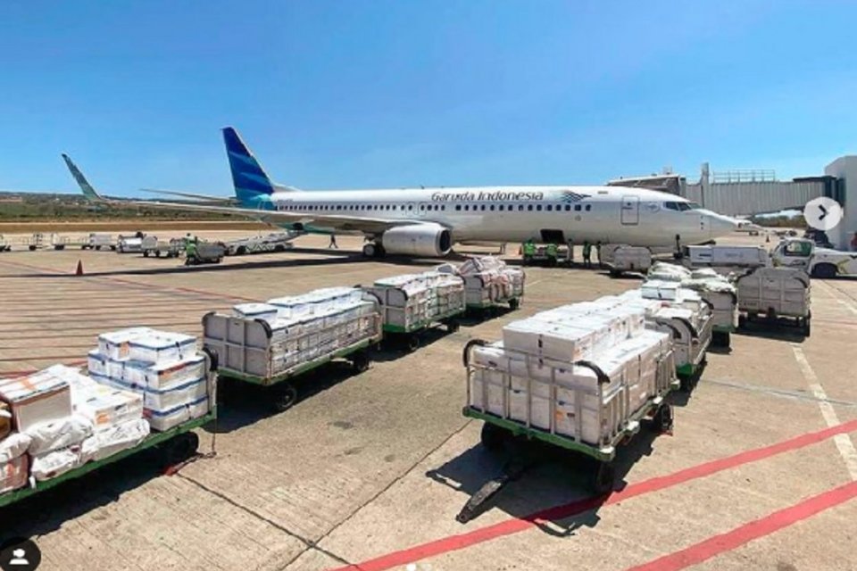 Garuda Indonesia melalui lini bisnis kargo, mendukung pengangkutan komoditas ekspor nasional menuju sejumlah negara importir seperti Hong Kong, China, Australia dan Singapura.