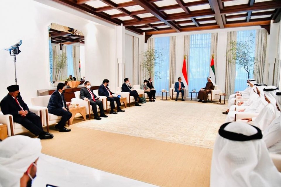 Persatuan Emirat Arab, Investasi