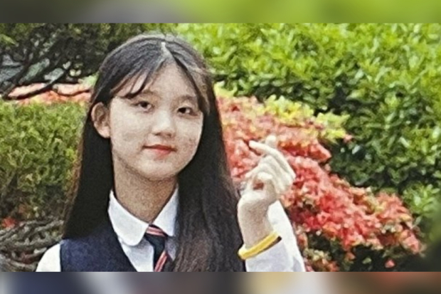 Predebut Gaeul IVE