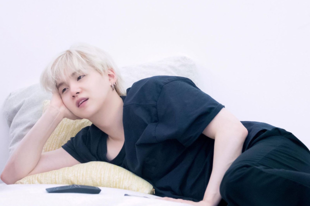 BTS In The Soop Season 2 