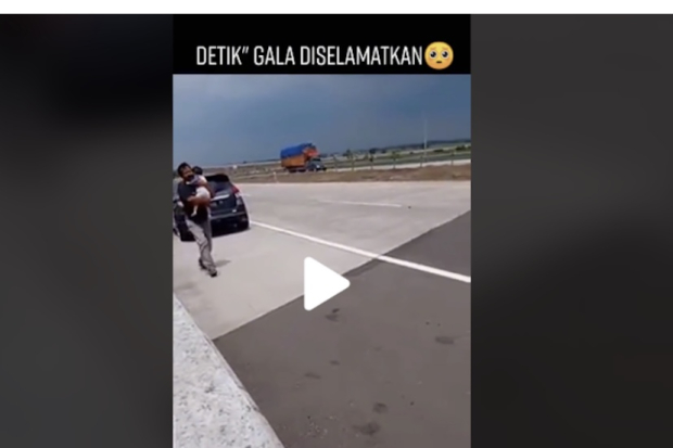 Video Gala diselamatkan