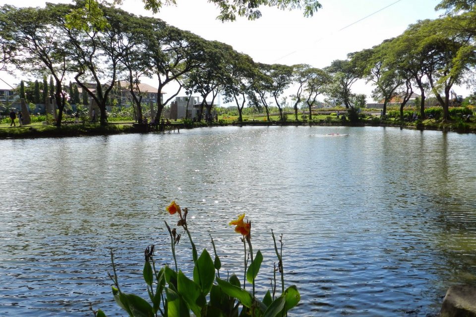 Kebun Bibit Wonorejo, salah satu wisata Surabaya yang edukatif