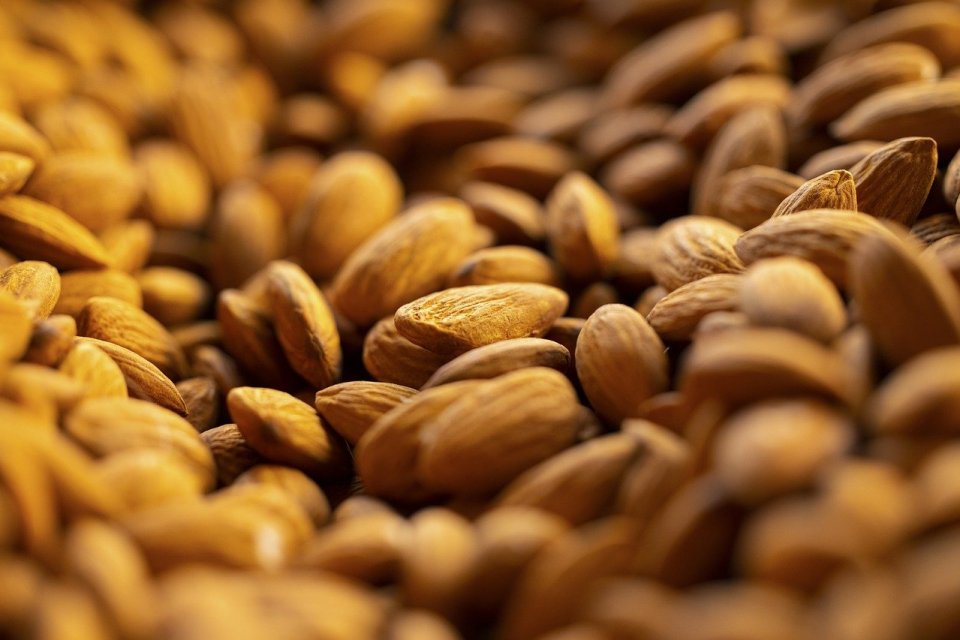 Kenali kandungan kacang almond, dan beragam manfaatnya untuk kesehatan hingga ibu hamil.