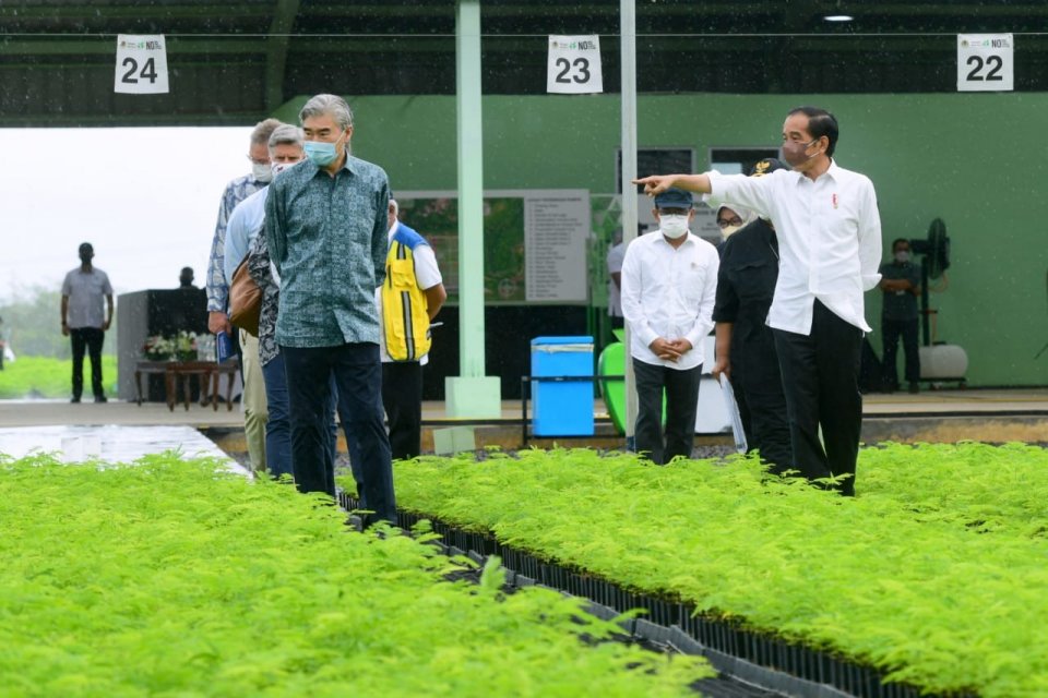 Jokowi, sawit, tambang, lingkungan