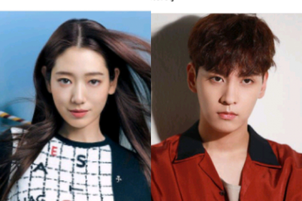 Park Shin Hye dan Choi Tae Joon
