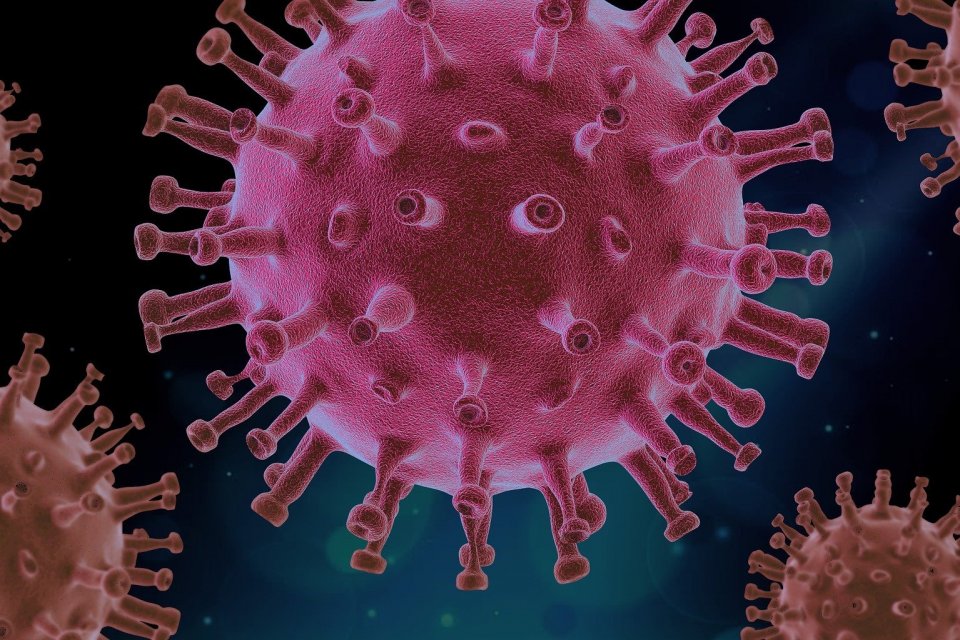 Covid-19, virus corona, omicron