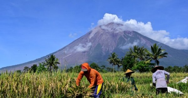 10 Urutan Gunung Tertinggi Di Pulau Jawa - Lifestyle Katadata.co.id