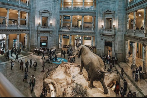 Smithsonian Museum Amerika Serikat