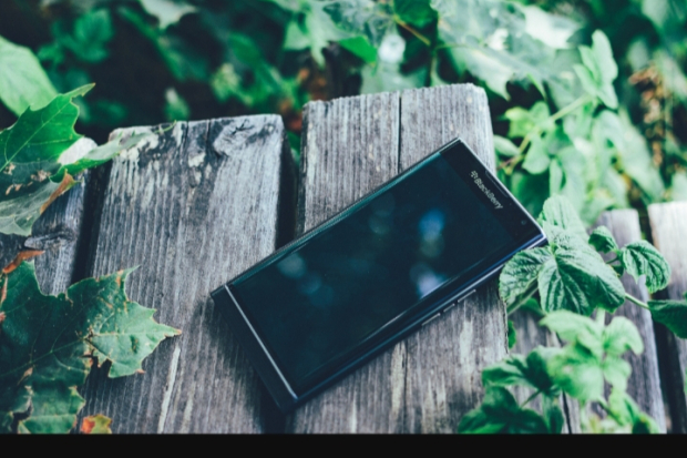 Blackberry