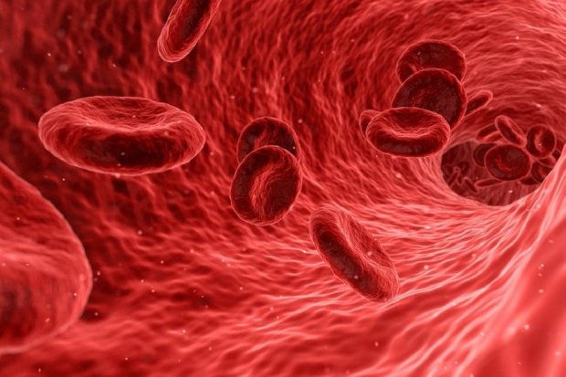 6 Fungsi Darah untuk Tubuh Manusia yang Harus Diketahui