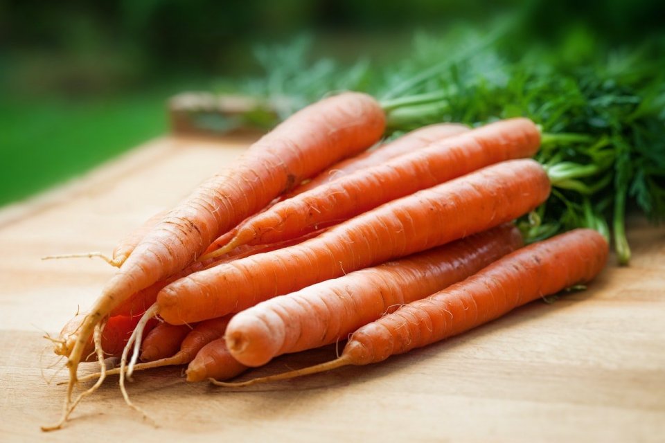 Manfaat jus wortel dapat meningkatkan kesehatan mata.