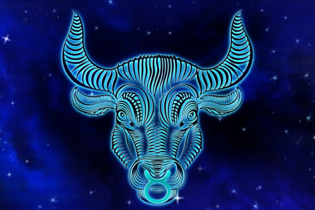Zodiak Taurus