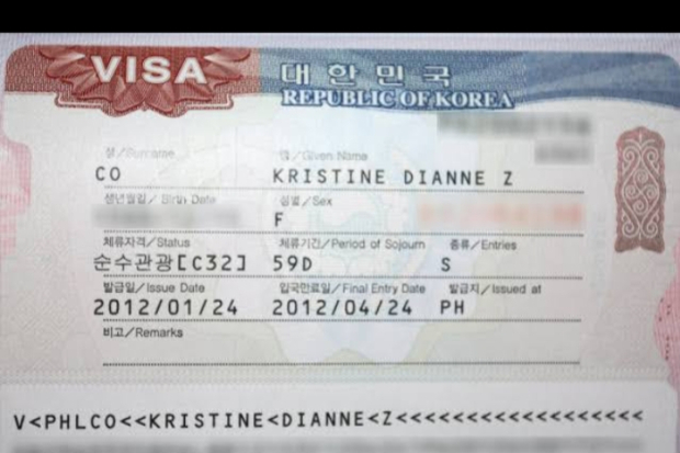 Hallyu Visa