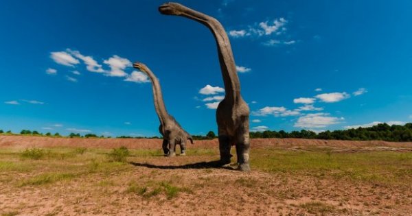 The Names of Dinosaurs That Ever Lived on Earth