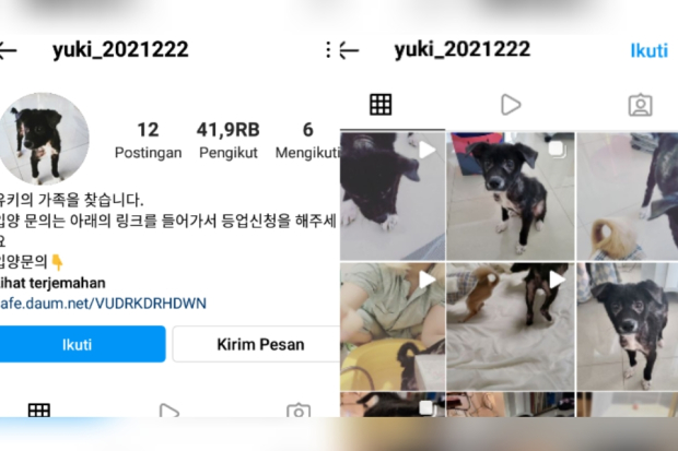 Yuki Anjing yang Diselamatkan Jeongyeon TWICE