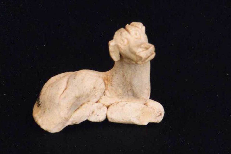 Artefak hewan yang ditemukan di Kawasan Cagar Budaya Muarajambi berbentuk seekor anjing yang terbuat porselen. Artefak ini memiliki ukuran tinggi 5 cm dan panjang 6,2 cm. Berdasarkan ciri yang dimiliki, artefak ini diperkirakan berasal dari Dinasti Song A