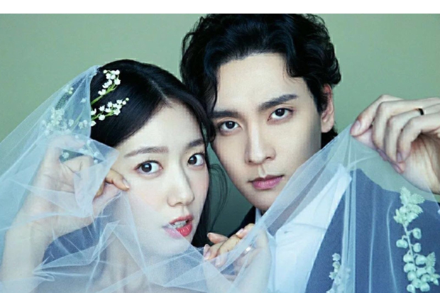 Park Shin Hye dan Choi Tae Joon