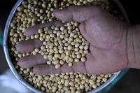 MOGOK PRODUKSI TAHU TEMPE DI JAKARTA