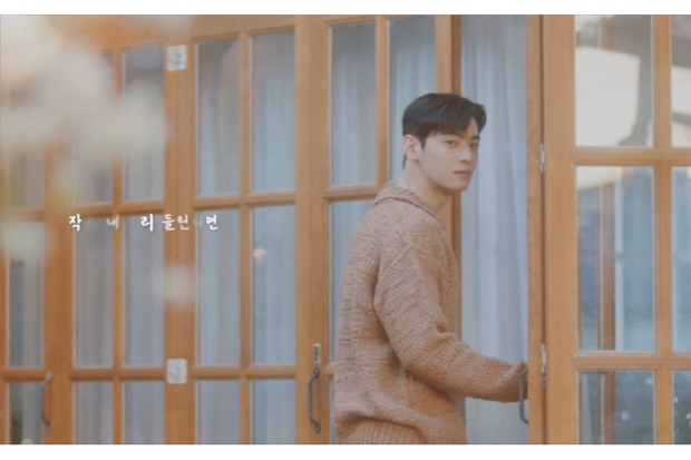 Cha Eun Woo
