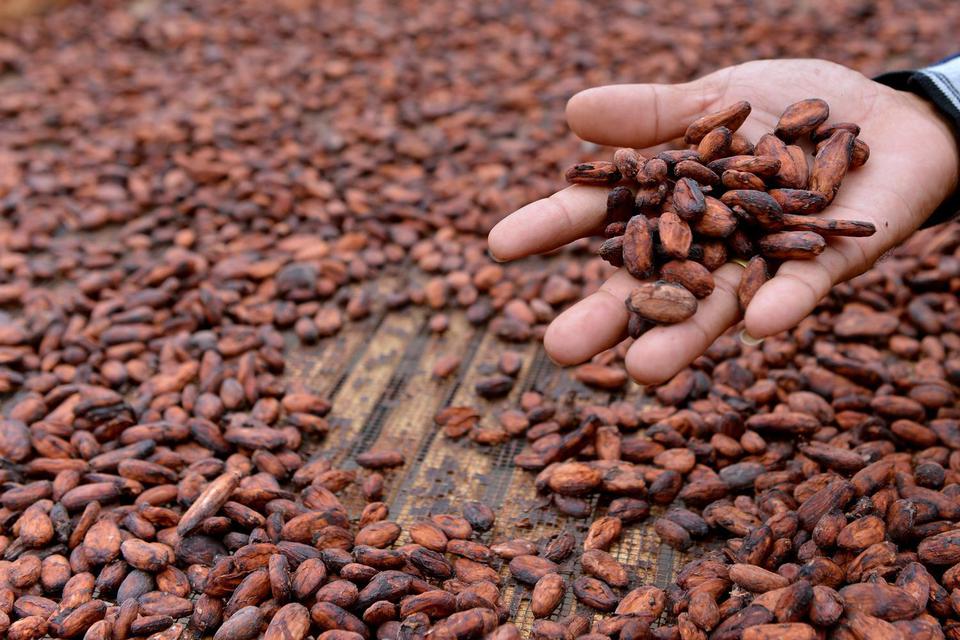 umkm mitra binaan pertamina