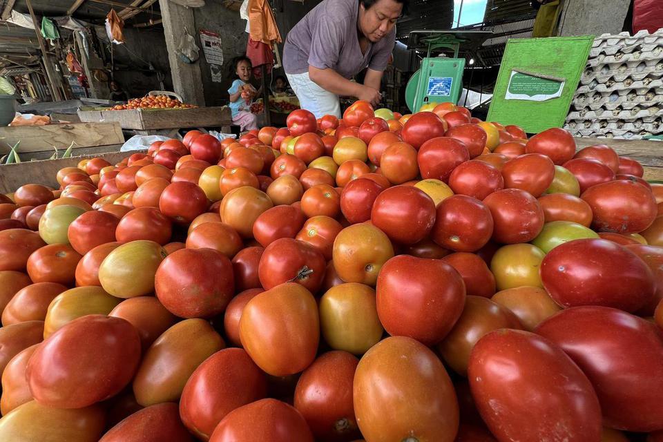 Ilustrasi tomat sebagai buah yang mengandung vitamin e dan bermanfaat bagi tubuh untuk kesehatan. 