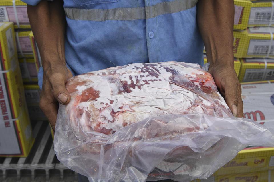 Pekerja menunjukkan daging beku impor asal India yang tiba di New Priok Container Terminal One (NCPT1), Jakarta, Sabtu (5/3/2022). 