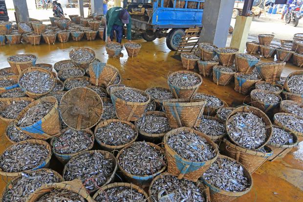 Nelayan mengumpulkan ikan hasil tangkapannya di Tempat Pelelangan Ikan (TPI) Dadap, Indramayu, Jawa Barat, Rabu (9/3/2022). 