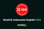 StraitsX Baru