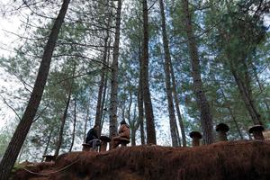 WISATA ALAM BUKIT TONDOK BAKARU DI MAMASA