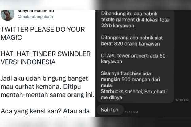 Kronologi penipuan Tinder Swindler versi Indonesia