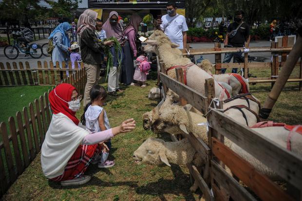 Wisatawan memberi makan hewan di kebun binatang mini di Kawasan Kiara Artha Park, Bandung, Jawa Barat, Sabtu (19/3/2022). 