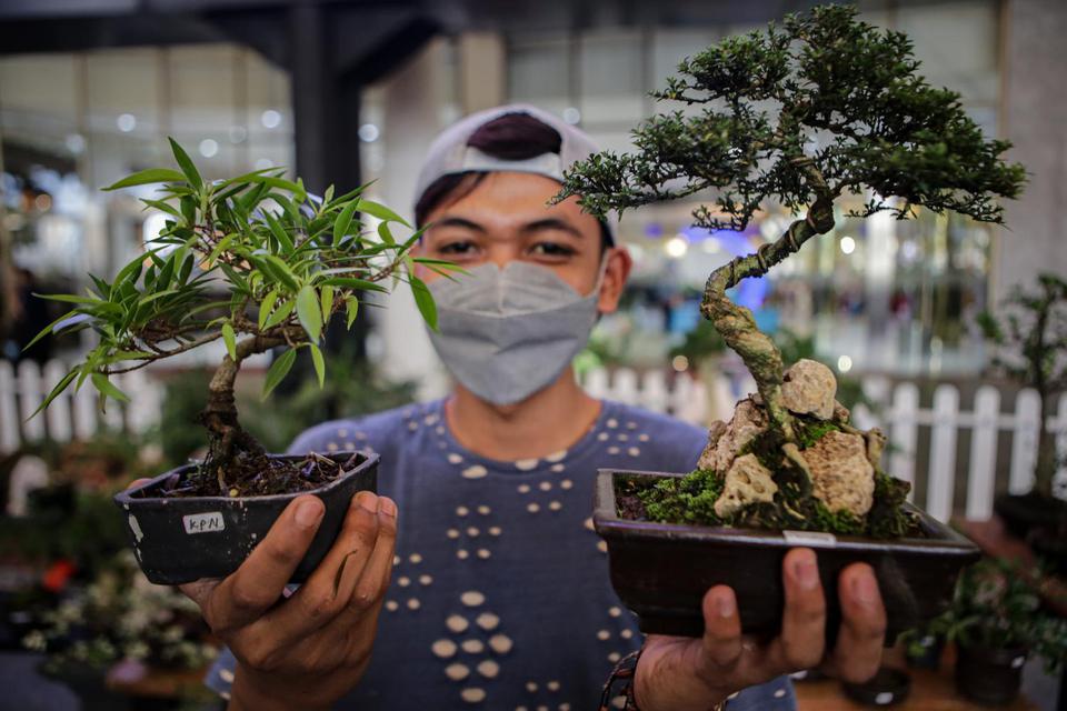 Pembudi daya menunjukkan tanaman bonsai yang dipamerkan di Summarecon Mall Serpong, Tangerang, Banten, Rabu (23/3/2022). Pameran tanaman hias yang berlangsung selama dua pekan tersebut digelar sebagai bursa penjualan tanaman hias dan menjadi ajang edukasi