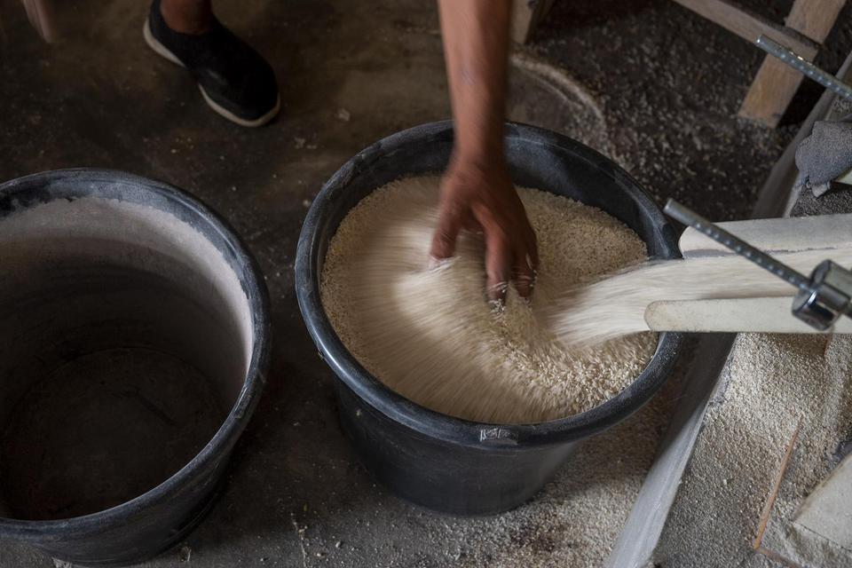Ilustrasi, pekerja menampung beras yang sedang digiling di sebuah usaha penggilingan. Beras menjadi salah satu barang pokok yang masuk dalam daftar barang dan jasa yang bebas PPN.