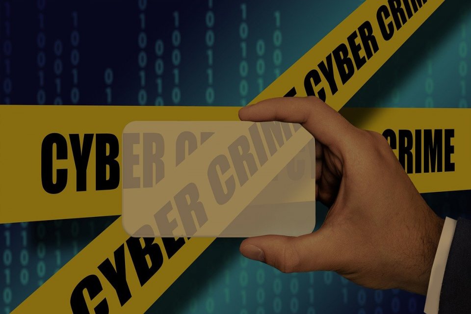 phishing, pencurian data, keamanan siber, universitas