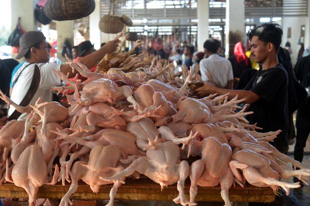 Pengunjung membeli ayam potong di Pasar Al Mahirah, Desa Lamdingin, Banda Aceh, Aceh, Jumat (1/4/2022). 