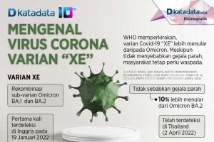Infografik_Mengenal virus corona varian xe